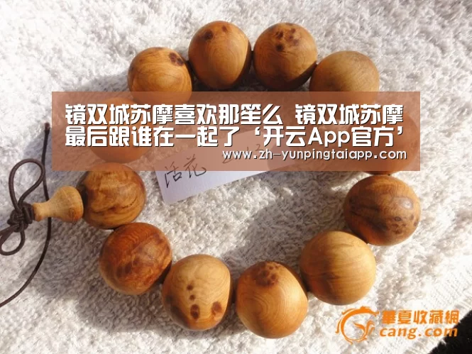 镜双城苏摩喜欢那笙么 镜双城苏摩最后跟谁在一起了‘开云App官方’(图2) 开云App官方