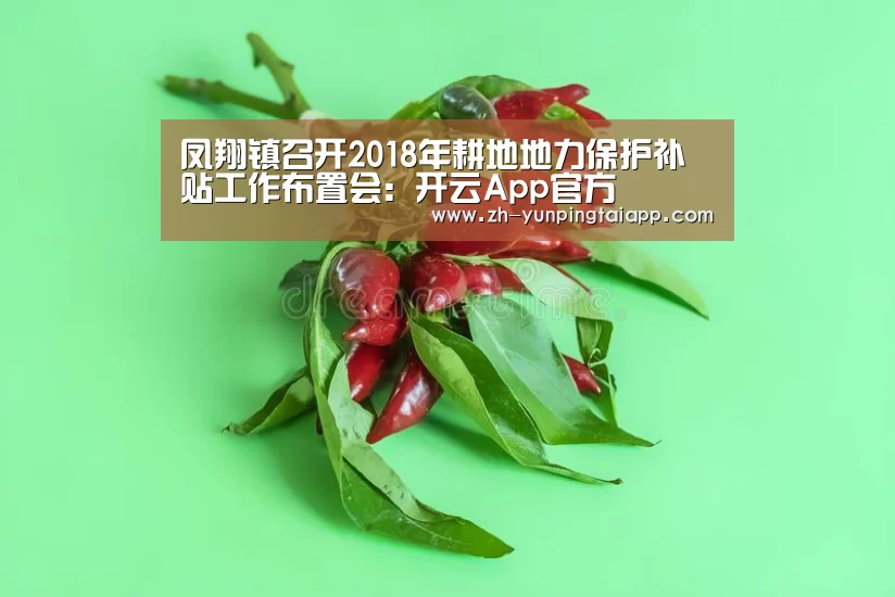 开云App官方