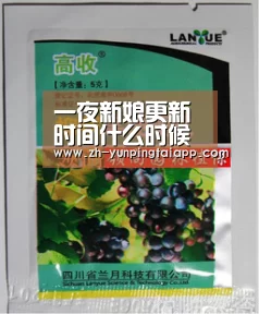 一夜新娘更新时间什么时候播出 每周几几点更新几集【开云App官方】(图3) 开云App官方