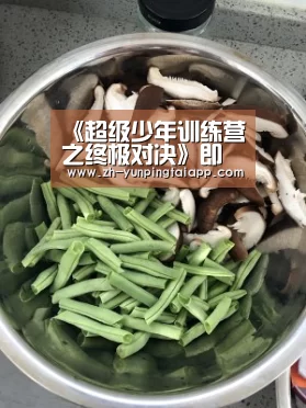 开云App官方