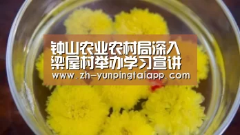 钟山农业农村局深入梁屋村举办学习宣讲《习近平新时代中国特色社会主义思想学习纲要》党课|开云App官方(图1) 开云App官方
