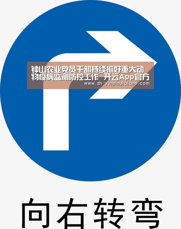 开云App官方