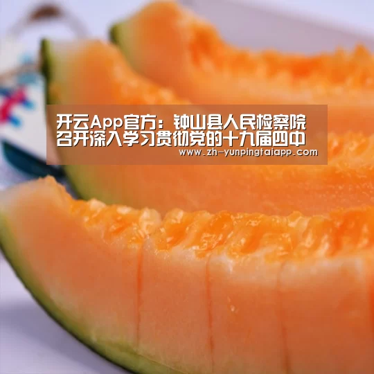开云App官方